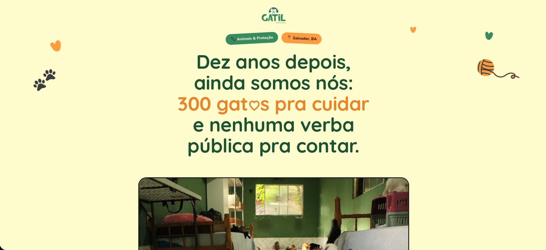 Prévia do site do Gatil Irmã Francisca